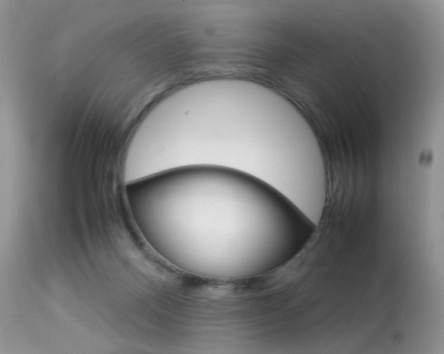 X0000113620120200909181125