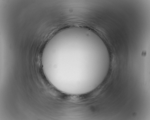 X0000113620121200909181125