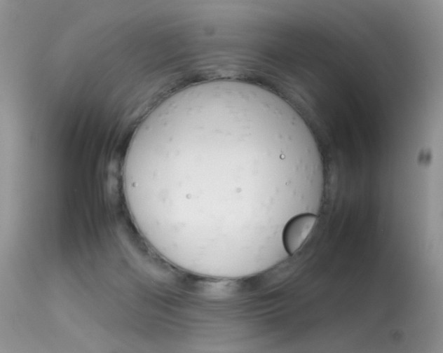 X0000113620122200909181125