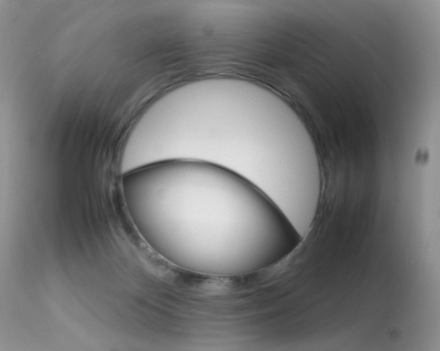 X0000113620124200909181125