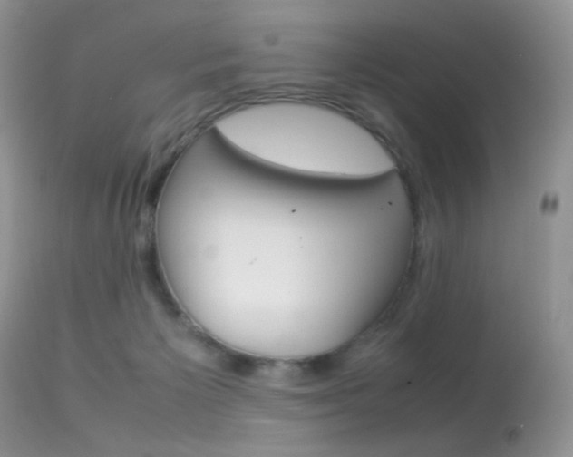 X0000113620125200909181125