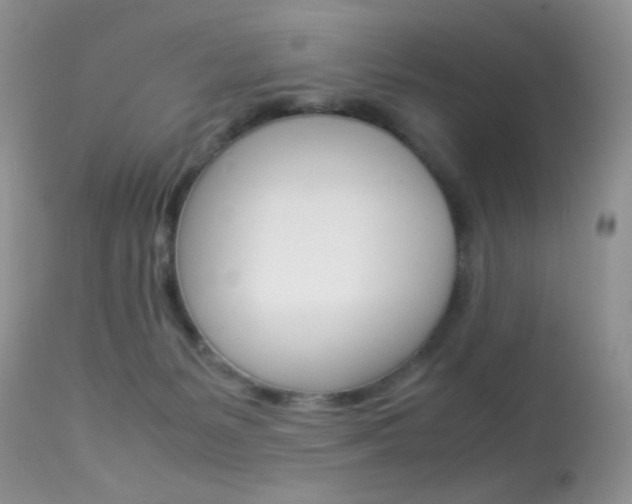 X0000113620127200909181125