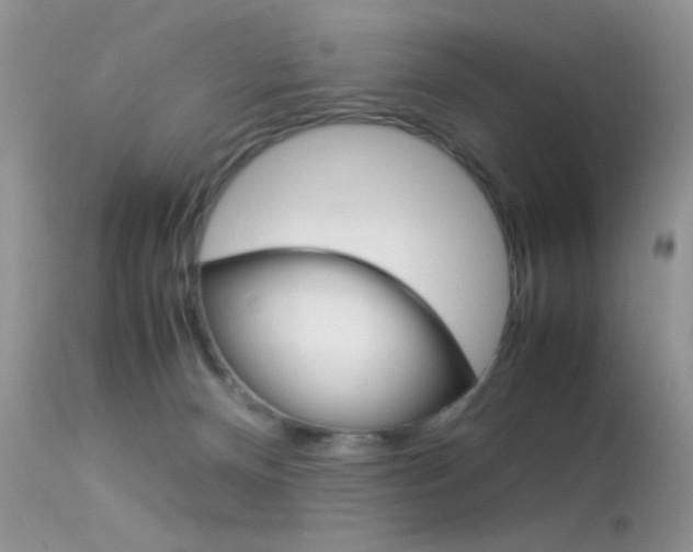 X0000113620128200909181125