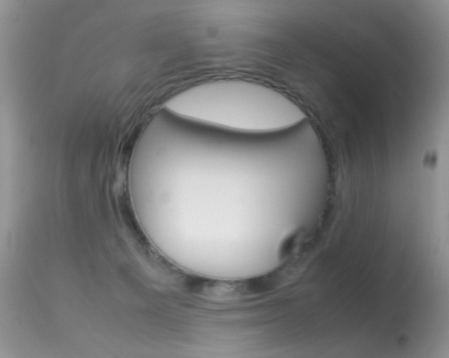 X0000113620129200909181125