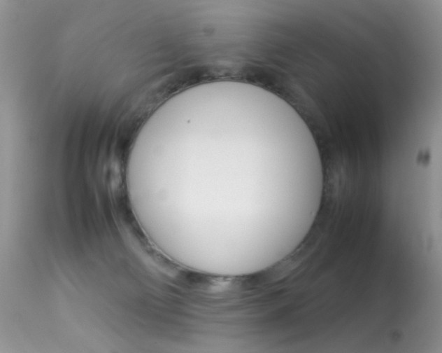 X0000113620130200909181125