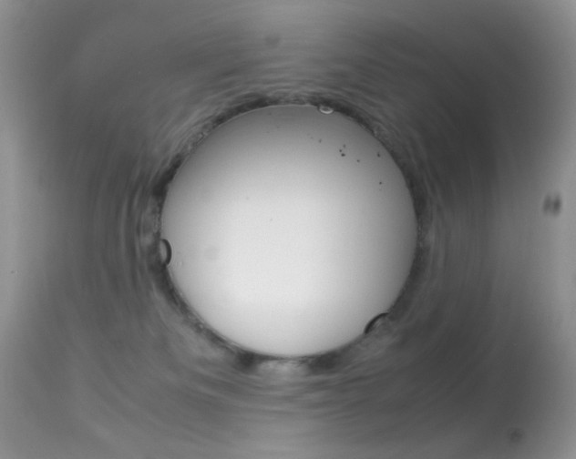 X0000113620133200909181125