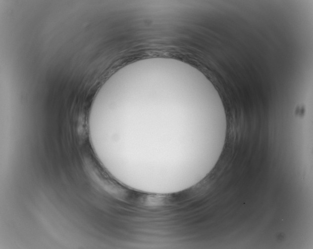 X0000113620134200909181125