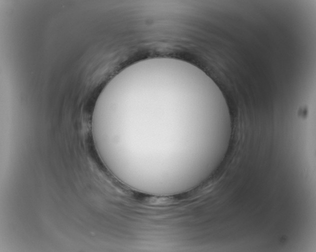 X0000113620135200909181125