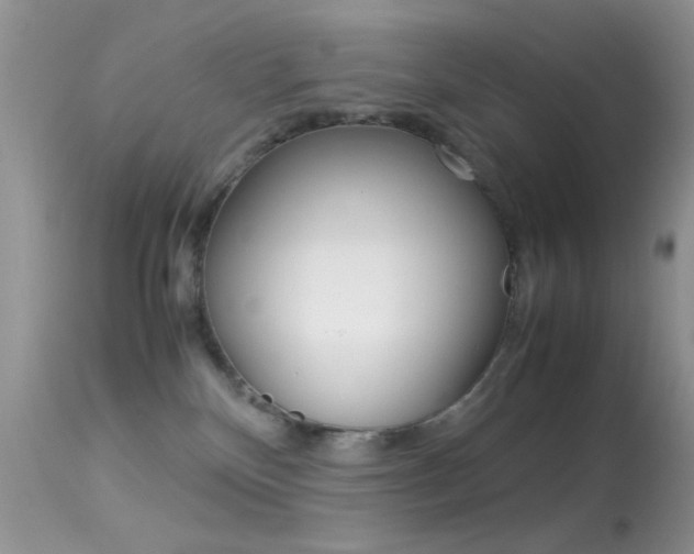 X0000113620136200909181125