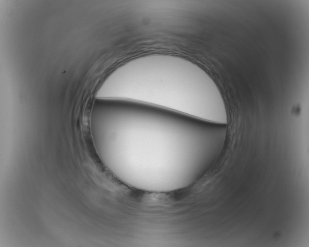 X0000113620137200909181125