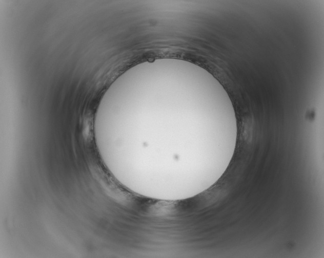 X0000113620138200909181125