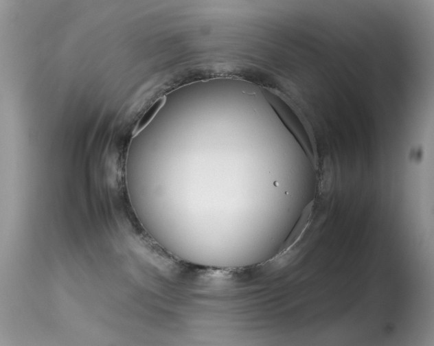 X0000113620140200909181125