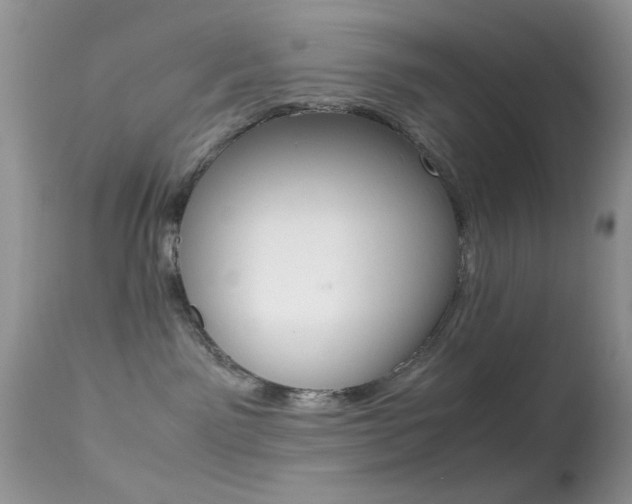 X0000113620141200909181125