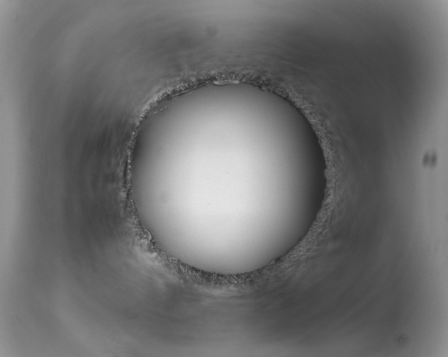 X0000113620144200909181125