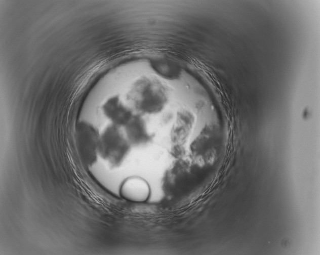 X0000113620145200909181124