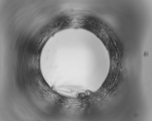 X0000113620146200909181124