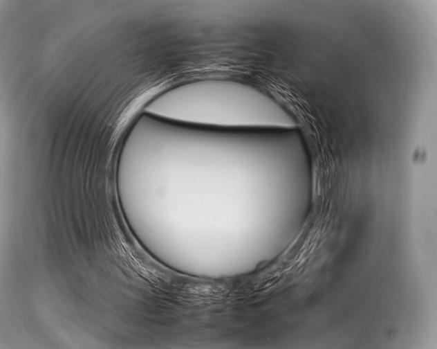 X0000113620147200909181124