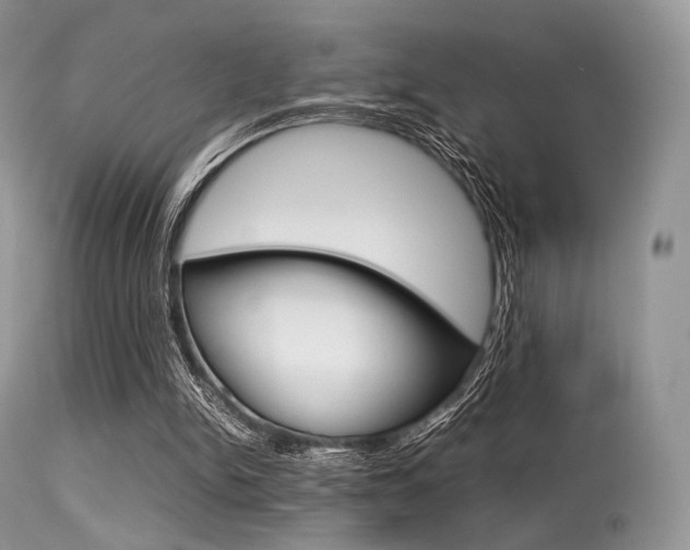 X0000113620150200909181124