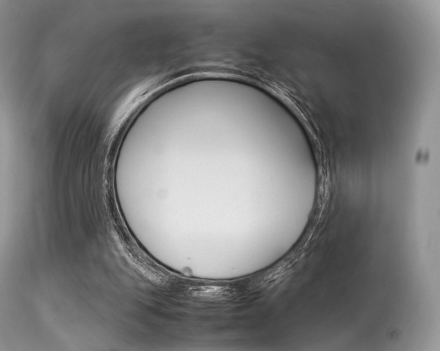 X0000113620151200909181124