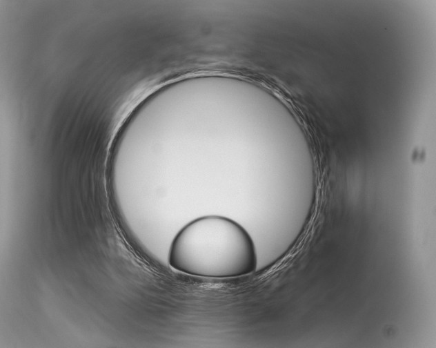 X0000113620152200909181124