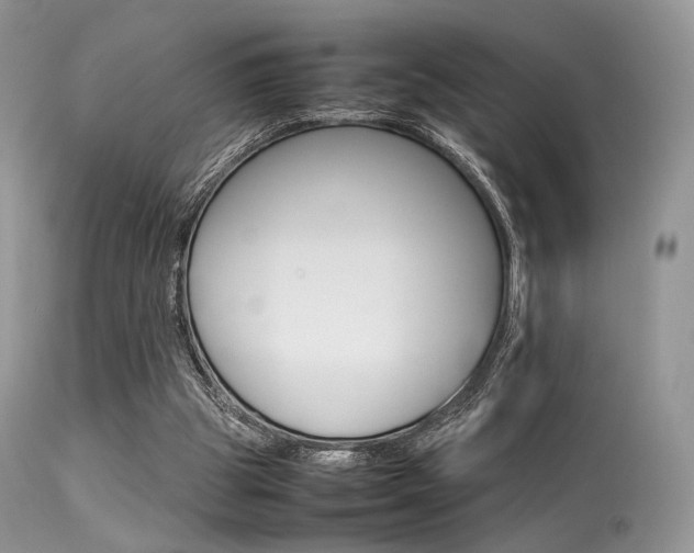 X0000113620153200909181124