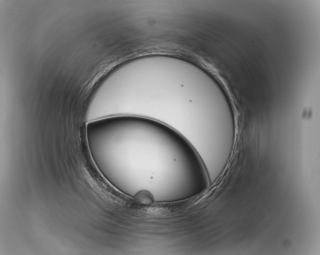 X0000113620154200909181124