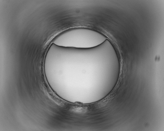 X0000113620155200909181124