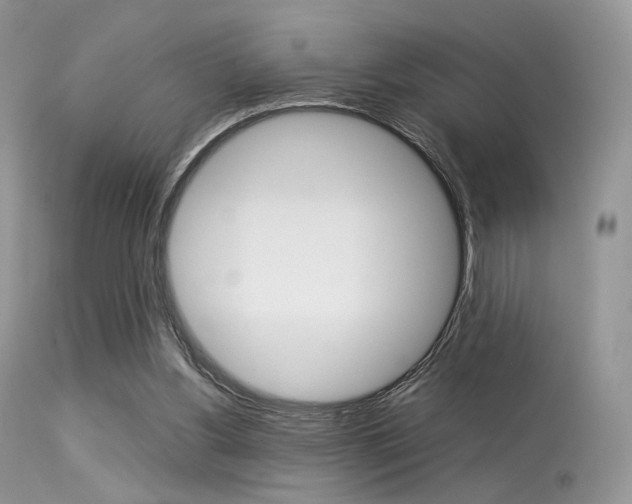 X0000113620156200909181124