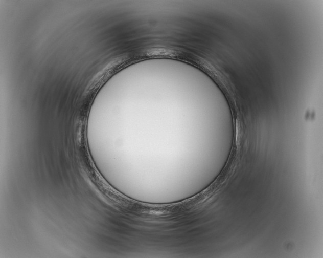 X0000113620157200909181124