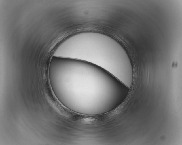 X0000113620158200909181124