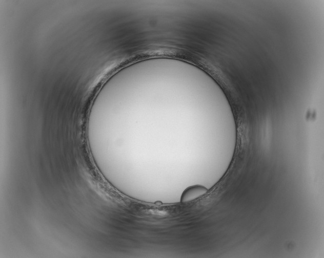 X0000113620159200909181124