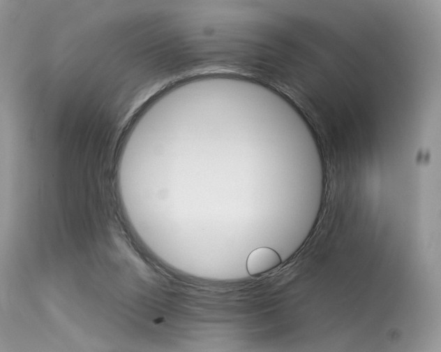 X0000113620160200909181124