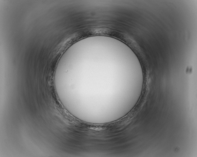 X0000113620161200909181124