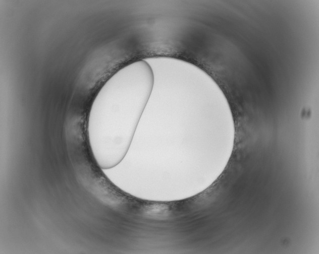 X0000113620162200909181124