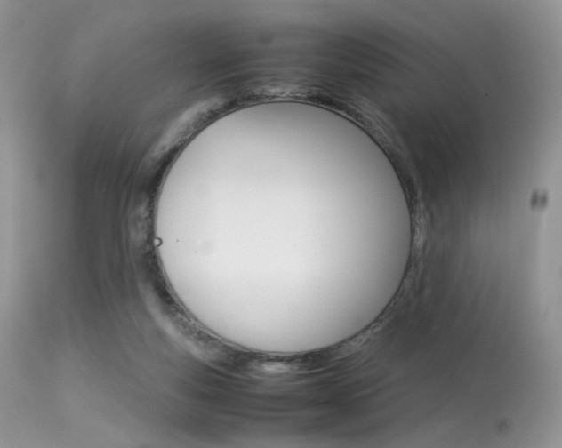 X0000113620163200909181124