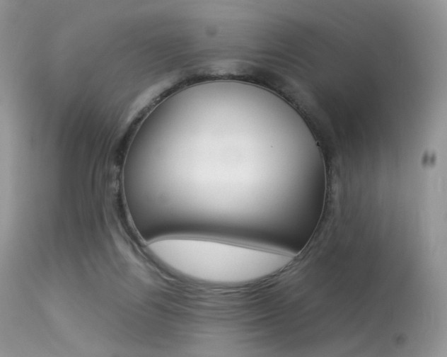 X0000113620164200909181124