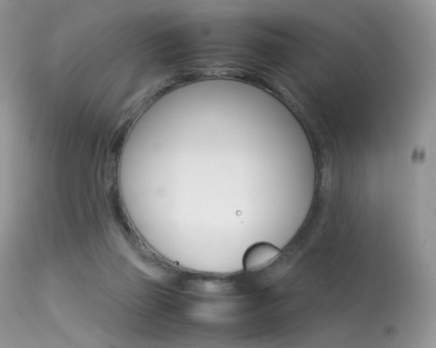 X0000113620165200909181124