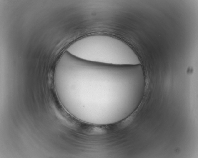 X0000113620166200909181124