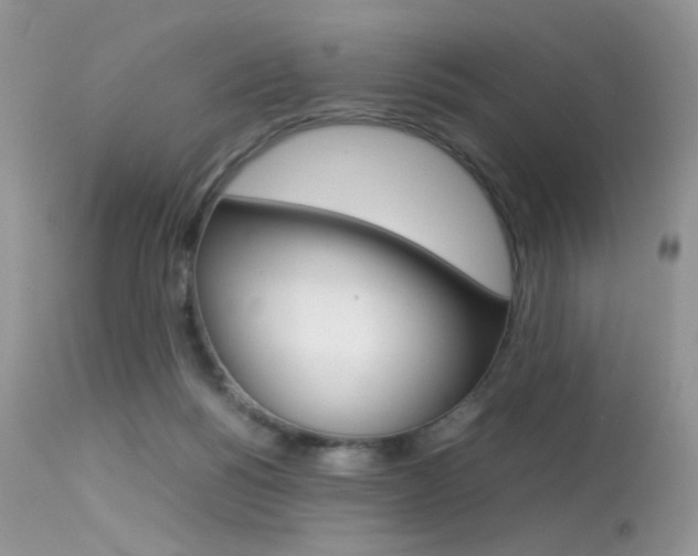 X0000113620168200909181124