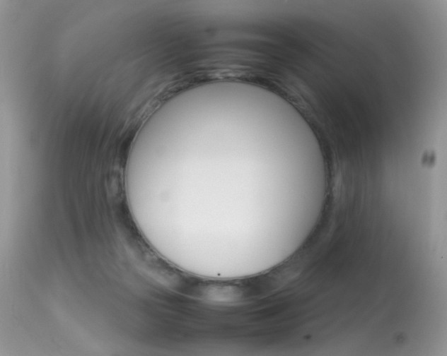 X0000113620169200909181125