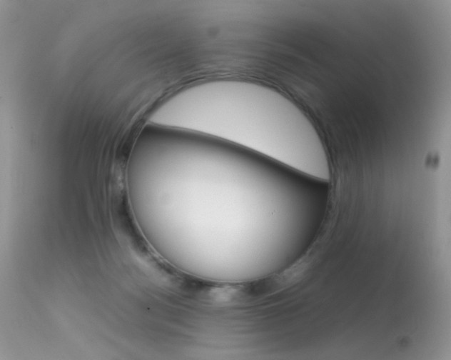 X0000113620172200909181125