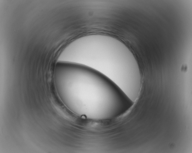 X0000113620174200909181125