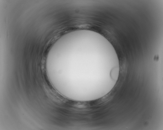 X0000113620175200909181125