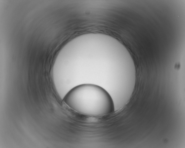 X0000113620176200909181125