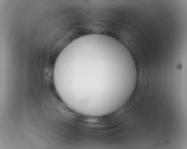 X0000113620177200909181125