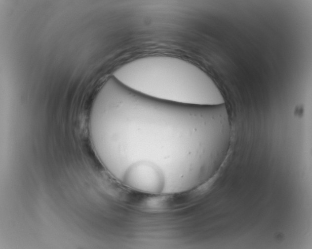 X0000113620178200909181125