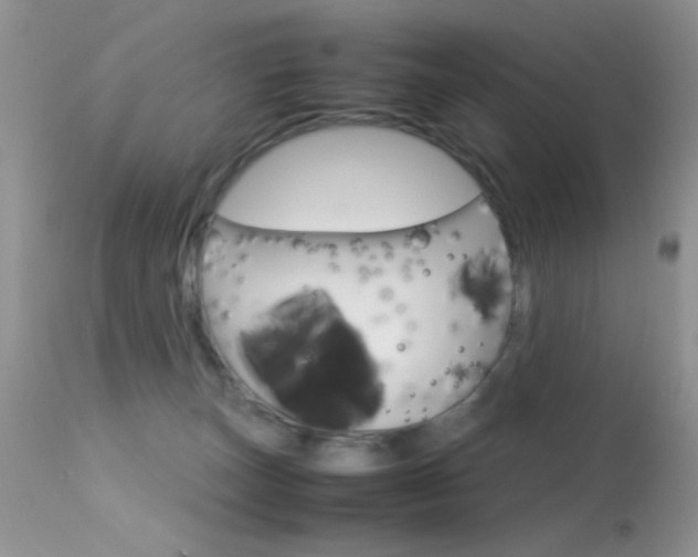 X0000113620179200909181125