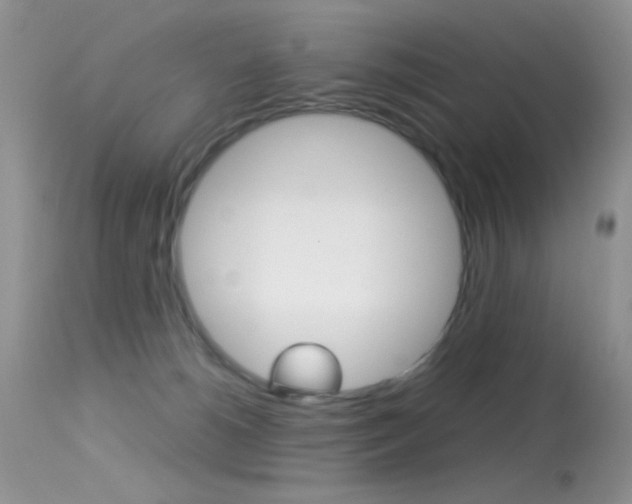 X0000113620180200909181125