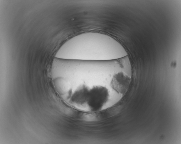 X0000113620181200909181125