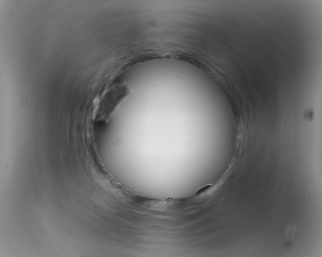 X0000113620182200909181125